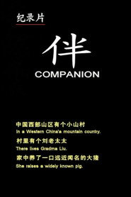 伴 封面