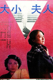 大小夫人 封面