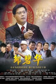邹碧华 封面