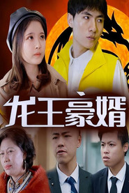 龙王豪婿 封面