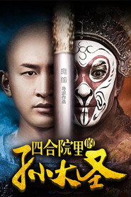 四合院里的孙大圣 封面