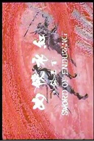 Hong yi xia nu 封面