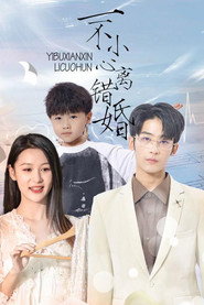 一不小心离错婚 封面