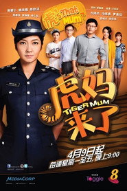 虎妈来了 封面