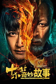 东北奇妙故事 封面