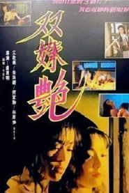 双姝艳 封面