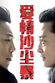 爱情沙尘暴 封面