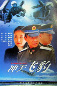 冲天飞豹 封面