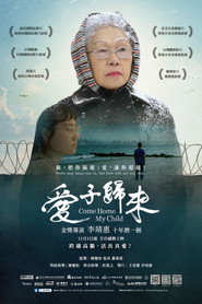 爱子归来 封面