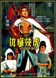 虎俠殲仇 封面