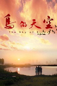 鸟的天空 封面