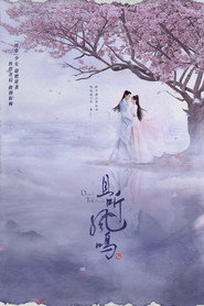 且听凤鸣 封面