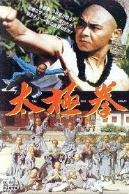 太极拳 封面