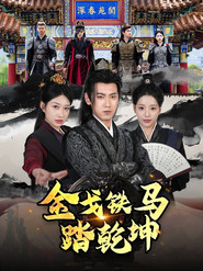 金戈铁马踏乾坤 封面
