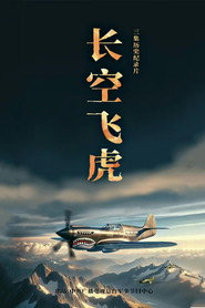 长空飞虎 封面