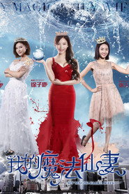 我的魔法仙妻 封面