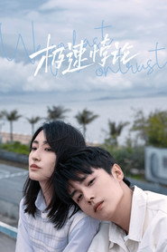 极速悖论 封面