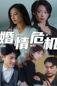婚情危机 封面