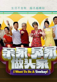 亲家冤家做头家 封面