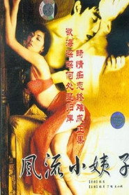 风流小姨子 封面