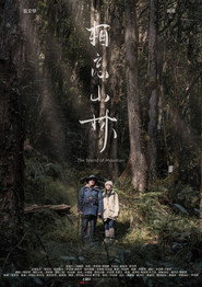 相忘山林 封面