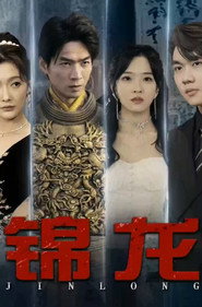 锦龙 封面