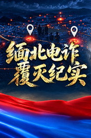 缅北电诈覆灭纪实 封面