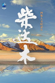 柴达木 封面