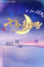 河南卫视七夕奇妙游 封面