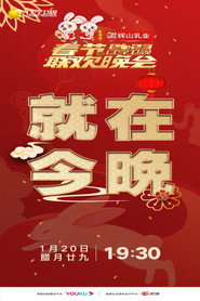 辽宁卫视春节联欢晚会2023 封面