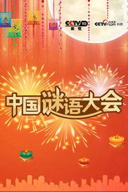 中国谜语大会 封面