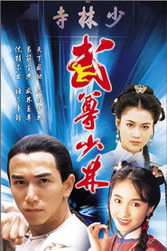 武尊少林 封面