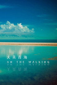 大美青海 封面