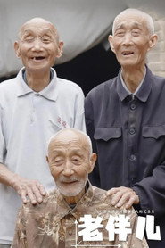 老伴儿 封面