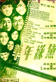 黛绿年华 封面
