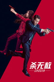杀无赦 封面