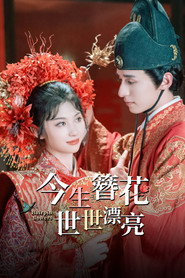 今生簪花,世世漂亮 封面
