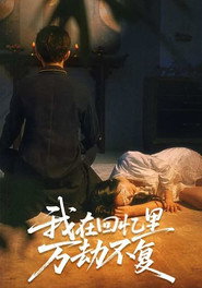 我在回忆里万劫不复 封面