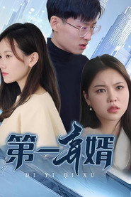 第一弃婿 封面