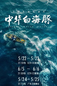 中华白海豚 封面