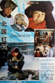 北国红豆 封面