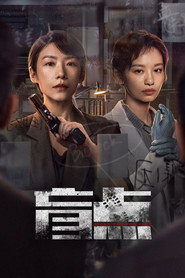 盲点 封面