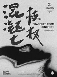 混凝土枝杈 封面