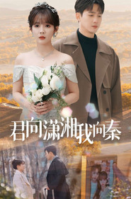 君向潇湘我向秦 封面