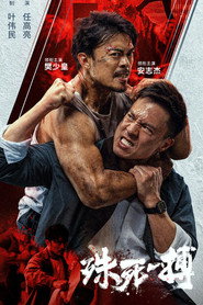 殊死一搏 封面