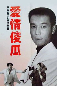 爱情傻瓜 封面