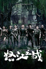 怒江之战 封面