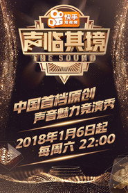 声临其境 封面