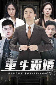 重生霸婿 封面