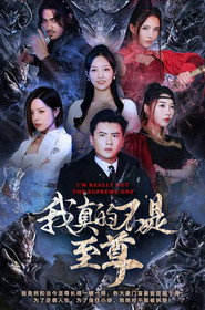 我真的不是至尊 封面